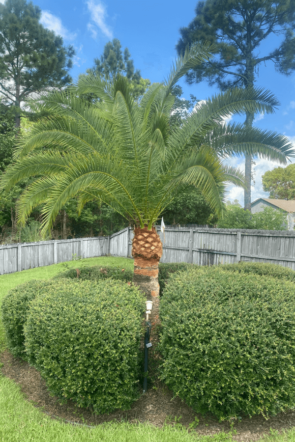 Landscaping Services in Navarre FL